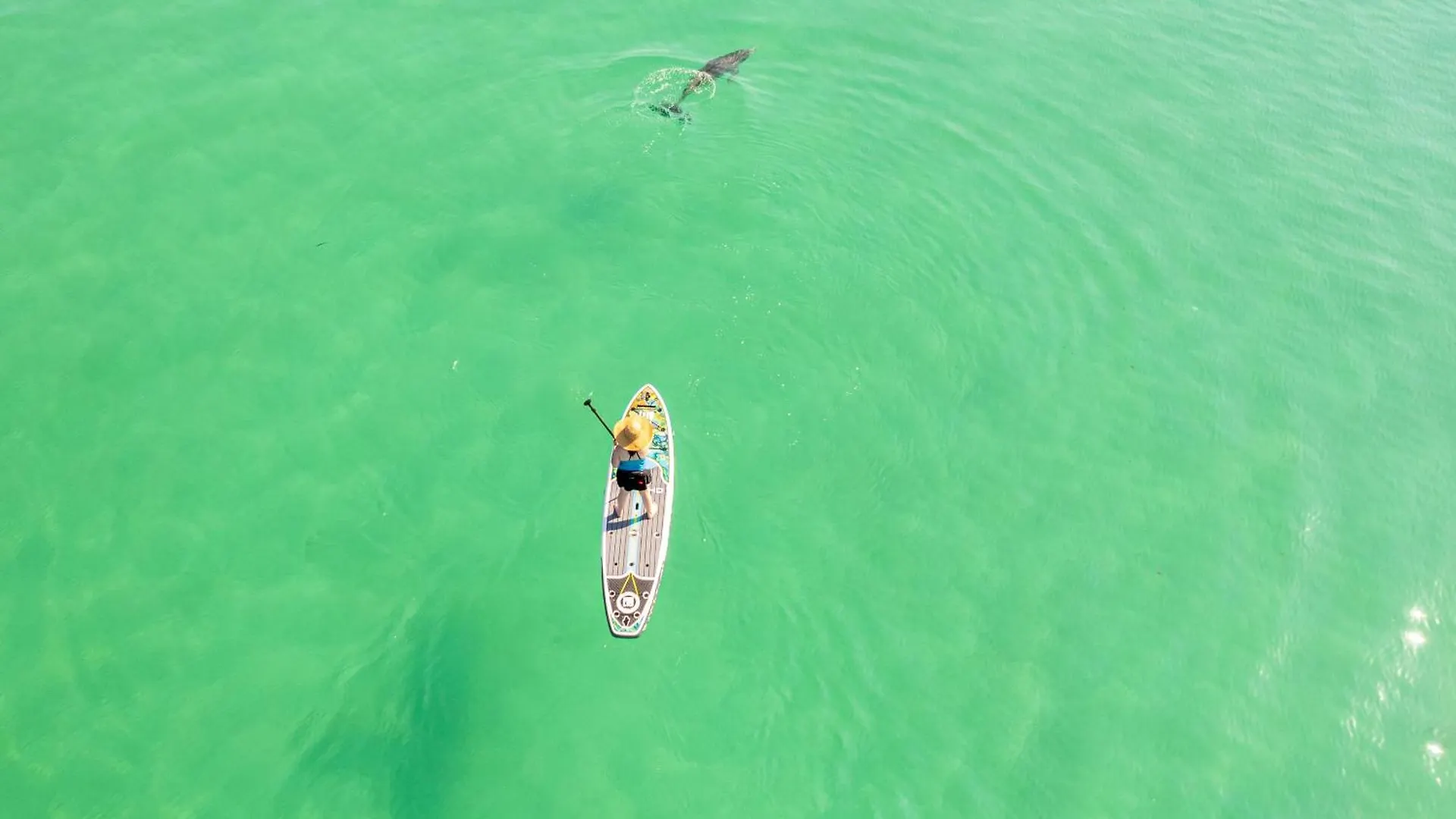 Destin On The Gulf 603-By Holiday Isle Properties