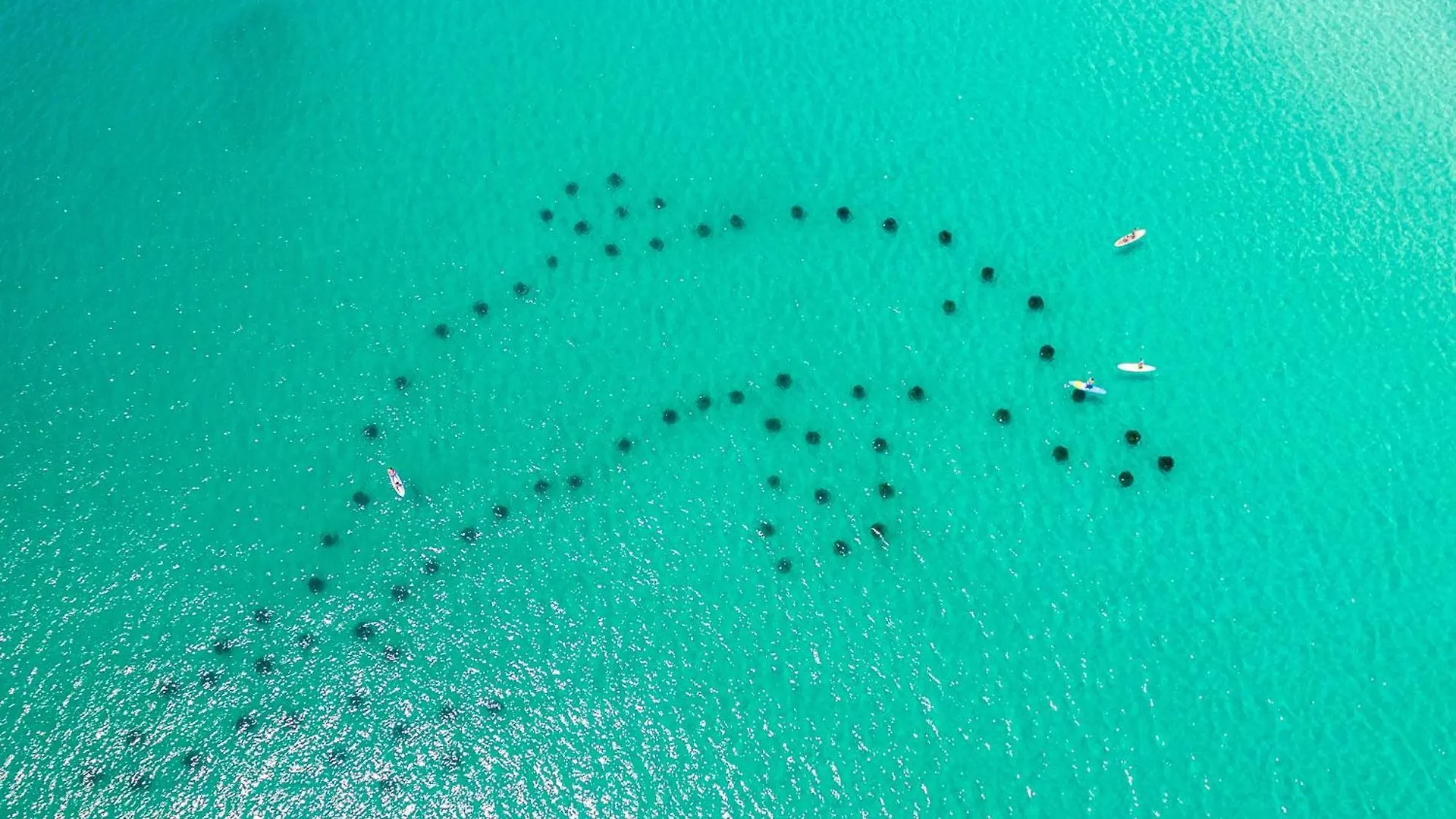 Destin On The Gulf 603-By Holiday Isle Properties United States